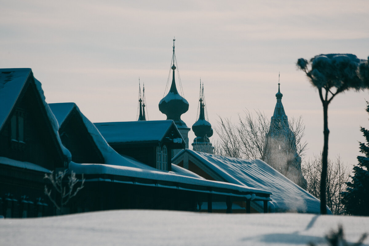 Суздаль. Детали зимы. - Вячеслав Владимирович Суздаль. Детали зимы. - Вячеслав Владимирович