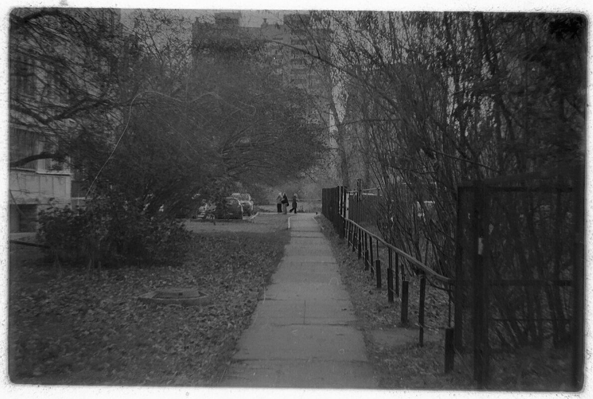 №213 - Alex Bes №213 - Alex Bes