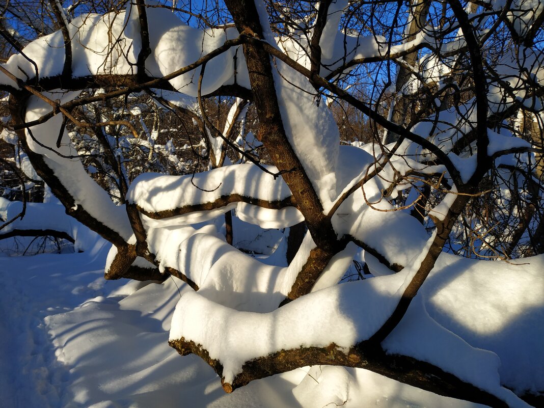 Ну вот и настоящая зима - Андрей Лукьянов Ну вот и настоящая зима - Андрей Лукьянов