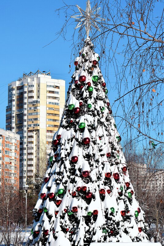Провожаем праздничный Январь. - Татьяна Помогалова Провожаем праздничный Январь. - Татьяна Помогалова