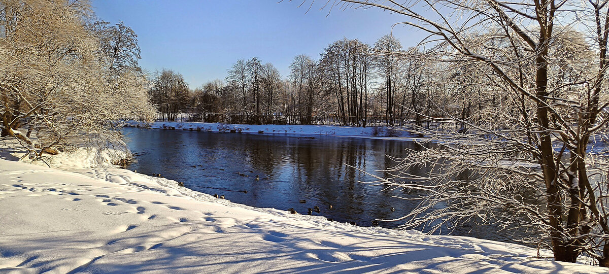 Зима - Игорь Сычёв