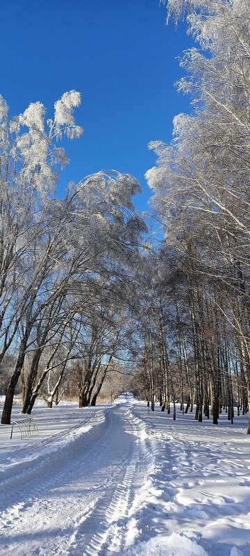Дорога к озеру - Игорь Сычёв