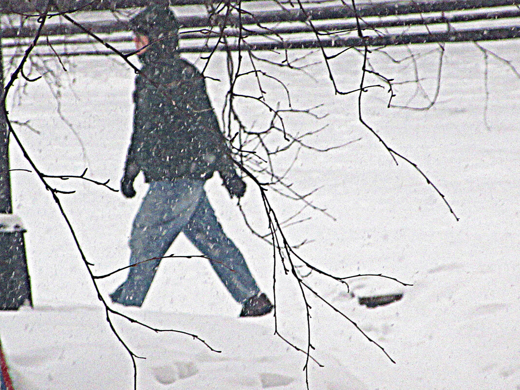 Йетти- снежный человек! Фотошутка. - Владимир Йетти- снежный человек! Фотошутка. - Владимир