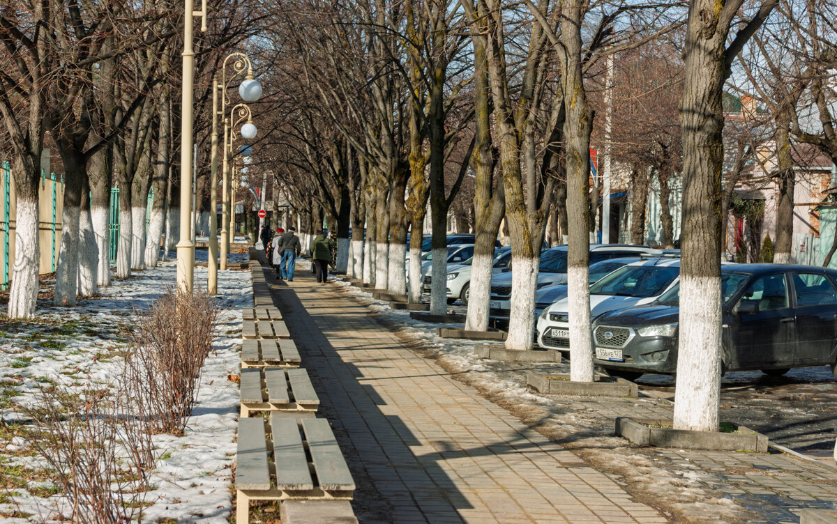 В Январе выдался теплый денек для прогулки - Игорь Сикорский В Январе выдался теплый денек для прогулки - Игорь Сикорский