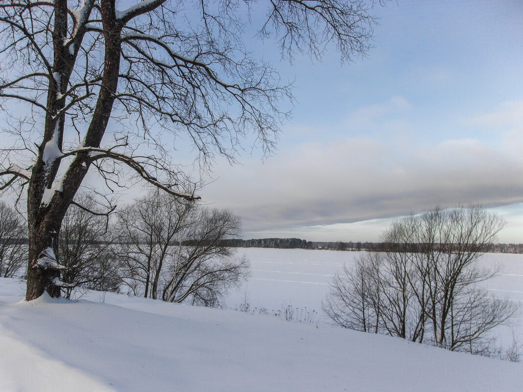 Распогодилось. - Михаил "Skipper" Распогодилось. - Михаил "Skipper"