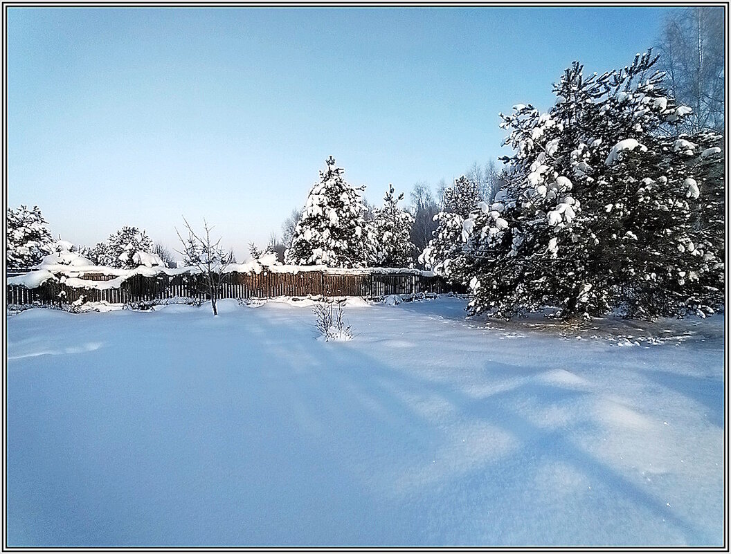Мороз и солнце - Ольга Довженко