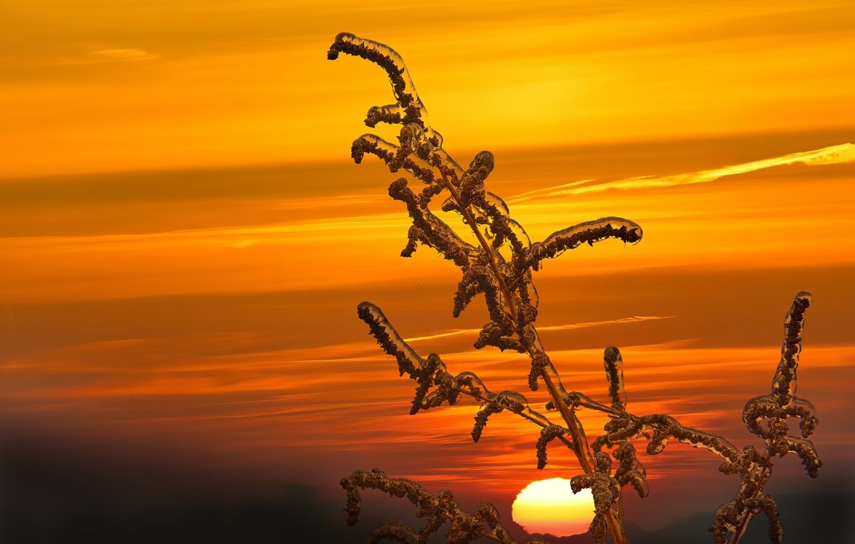 Зимнее очарование ... - Ravile 