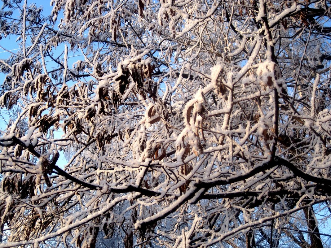 Зимнее - Елена Семигина