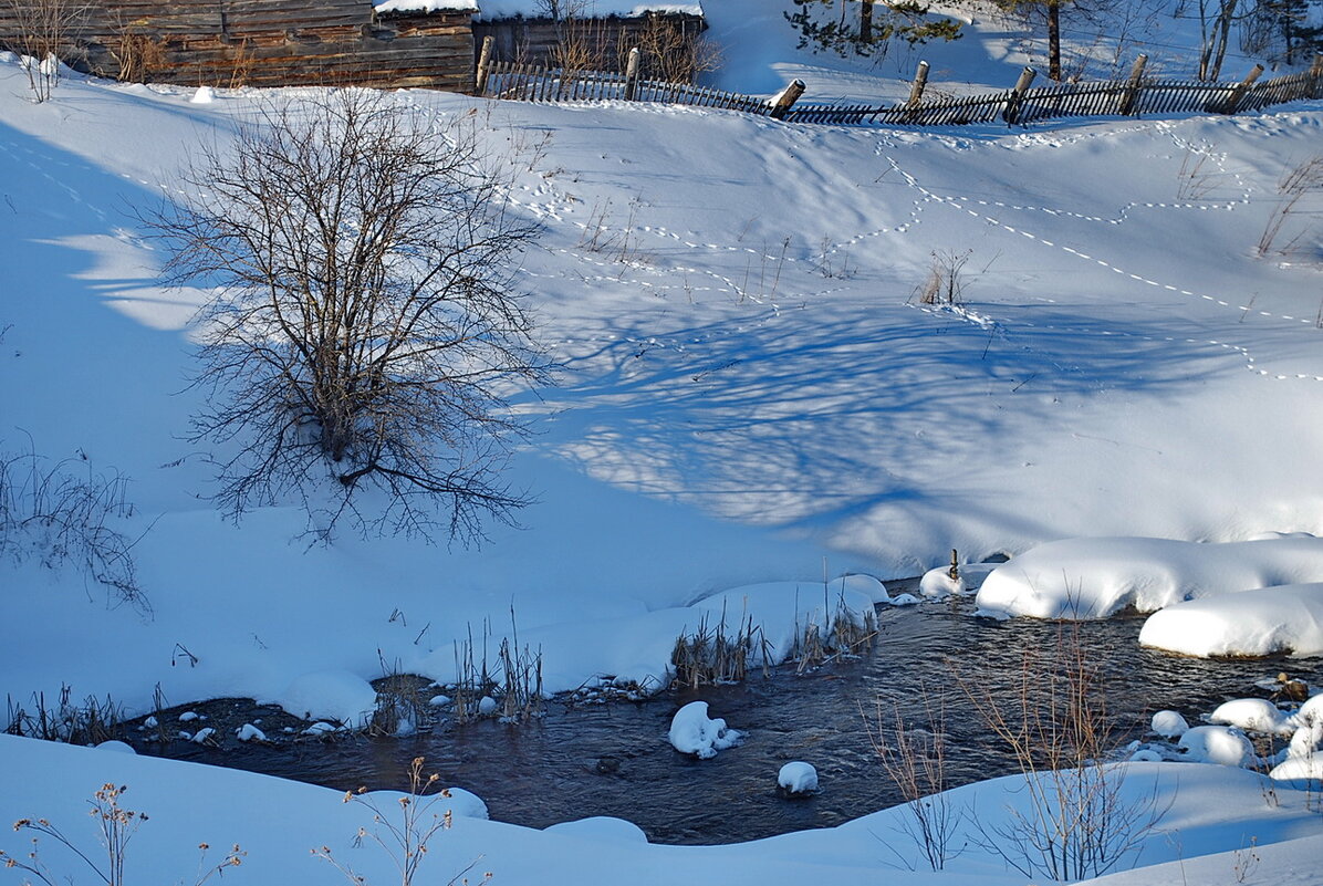 ... - Анастасия Смирнова