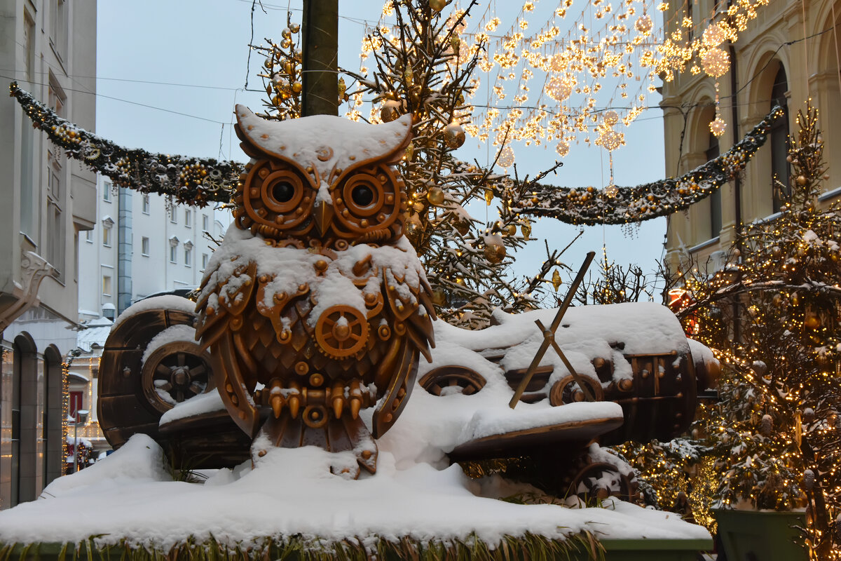 Новогодняя Москва. Путешествие в Рождество 2026. - Наташа *****