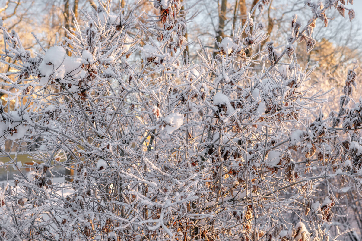 Январь - Владимир Колесников