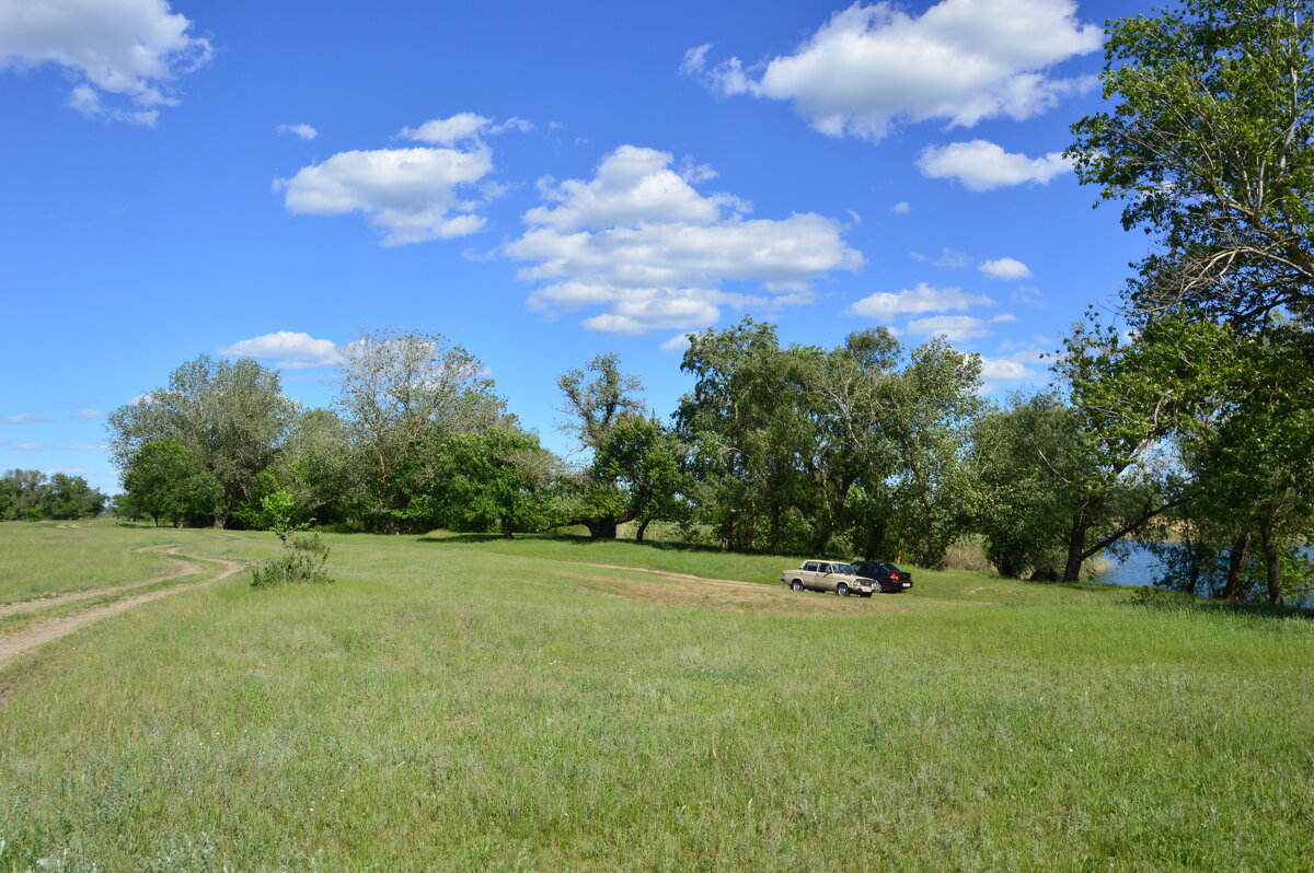 Весна. - Виктор 