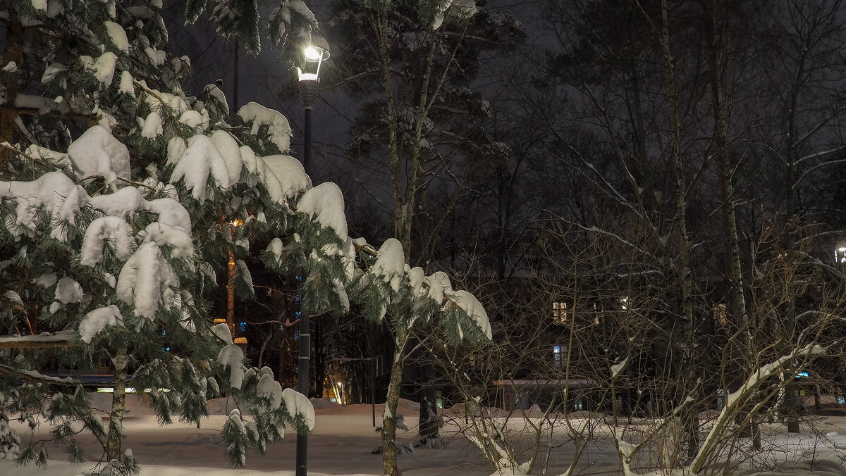 Вечерний Город - юрий поляков Вечерний Город - юрий поляков