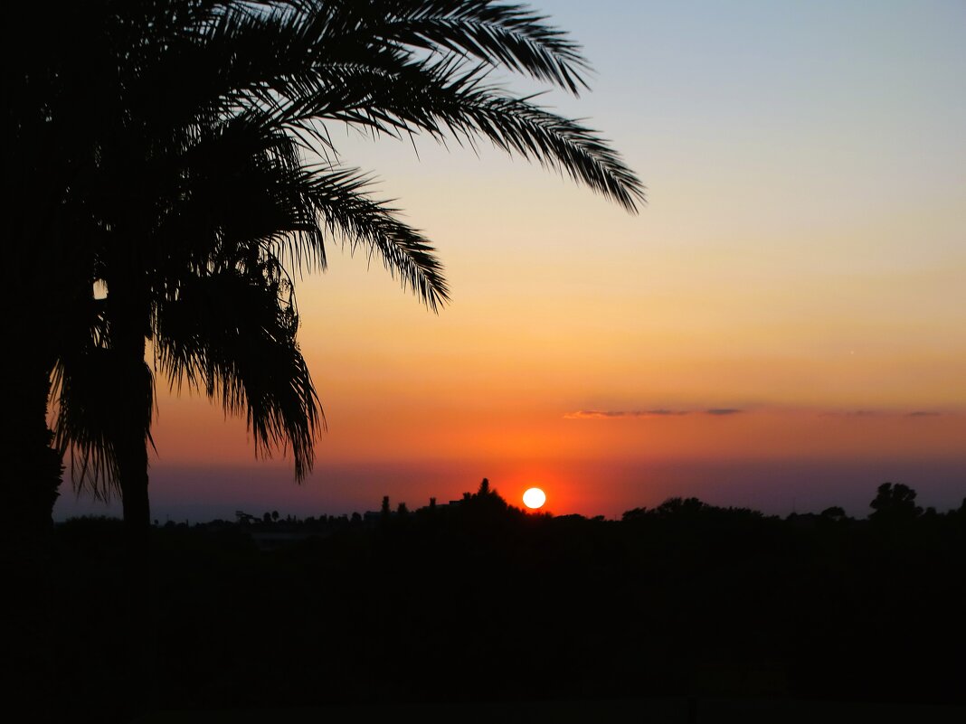 Из закатного - svk * Из закатного - svk *