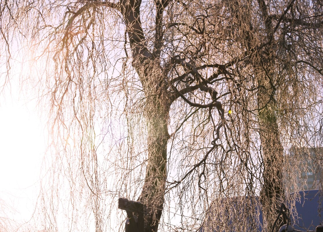 *1****** - Сергей 