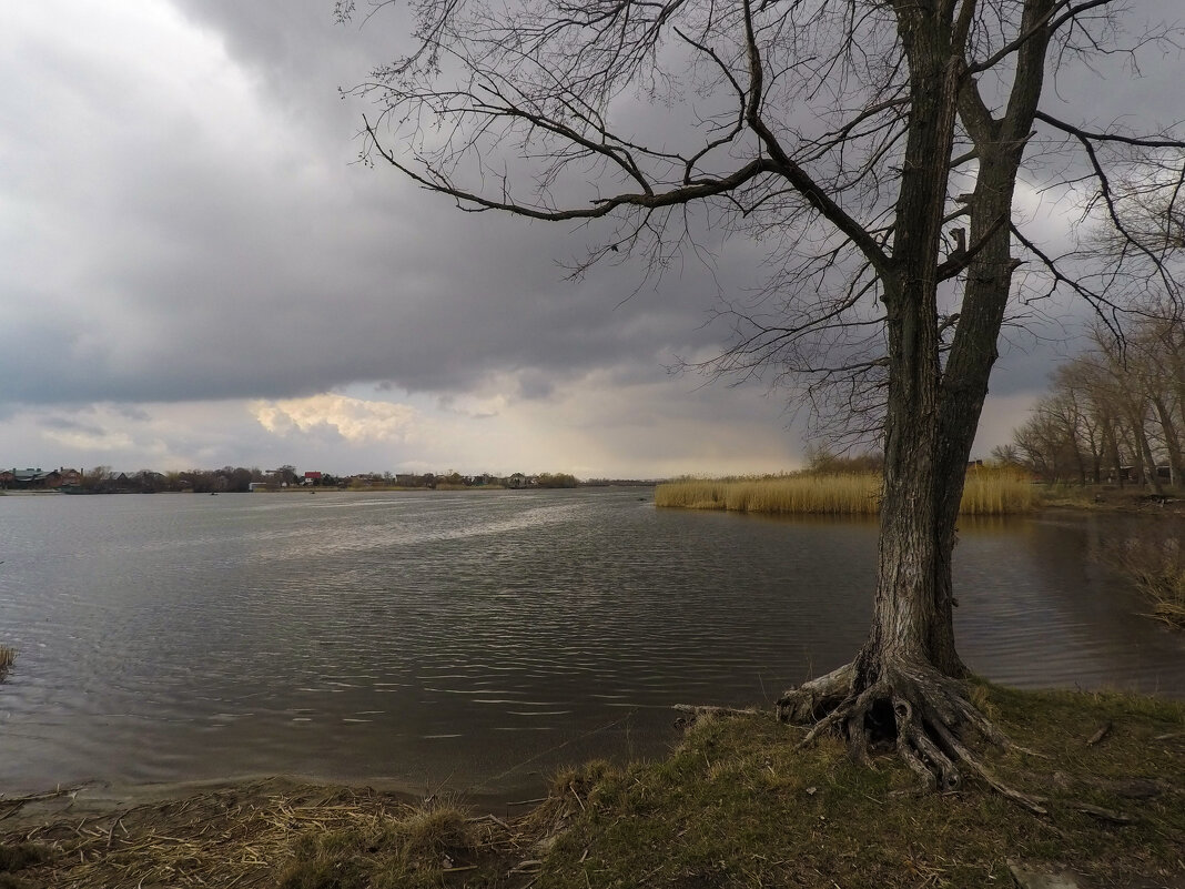 Дон. - Александр. AVG100 --- Дон. - Александр. AVG100 ---