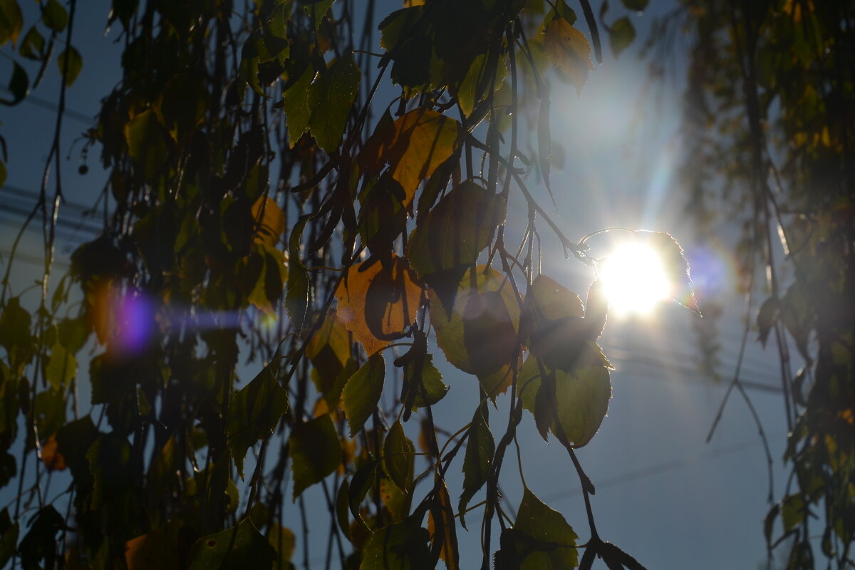 Солнышко)) - Prizrak 777