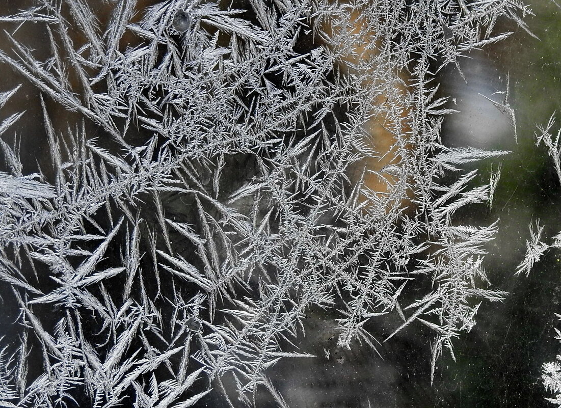 узоры зимы - ИННА ПОРОХОВА узоры зимы - ИННА ПОРОХОВА