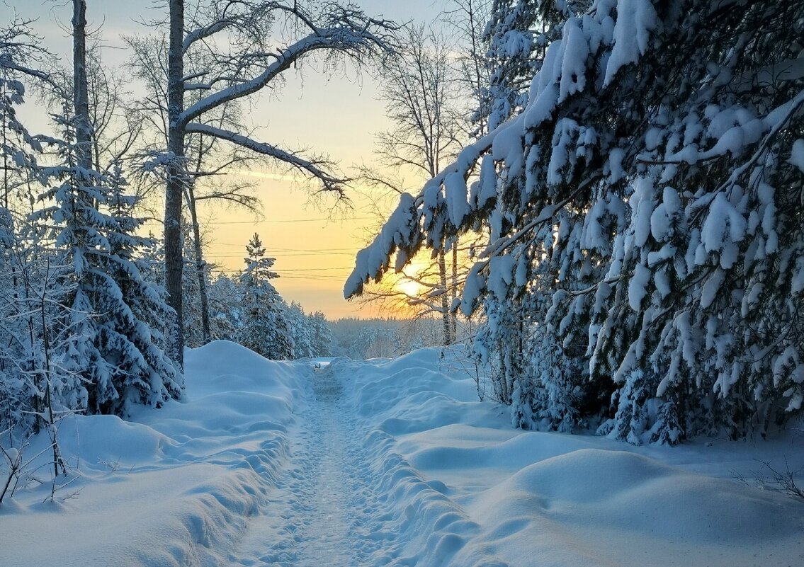 Мороз и солнце...День чудесный - Наталья Воронцова