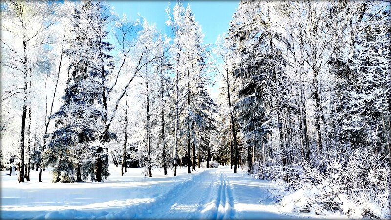 В Александровском парке ЦС - Сергей В Александровском парке ЦС - Сергей