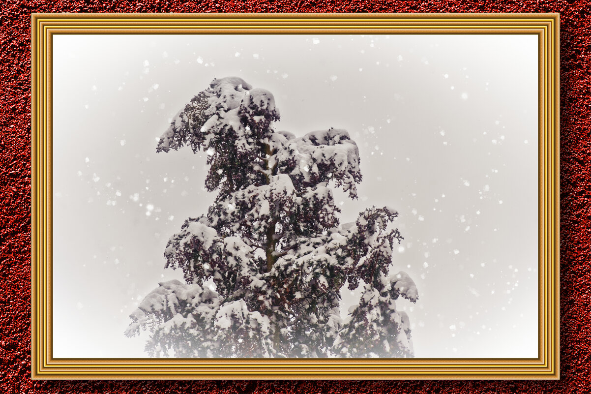 Зима - Jakob Dick