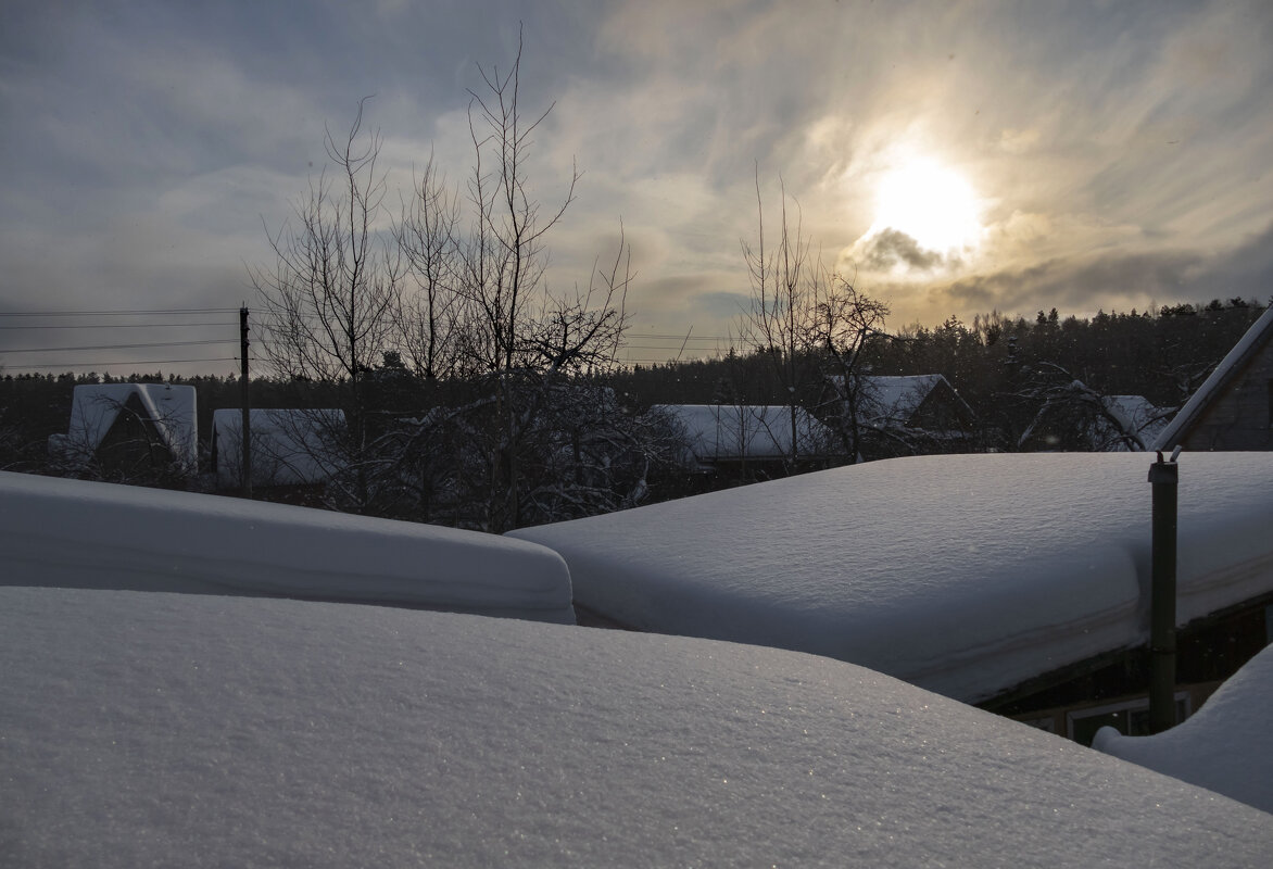 холода - РозаВетроф 