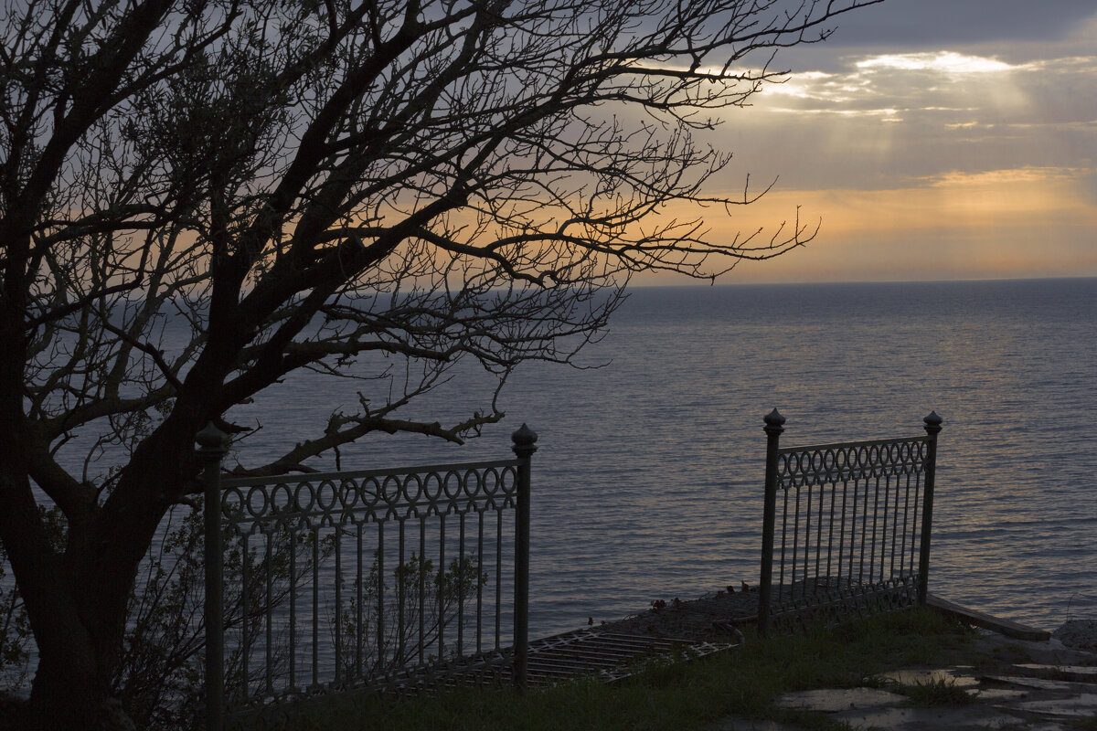 *** - Елена Агеева