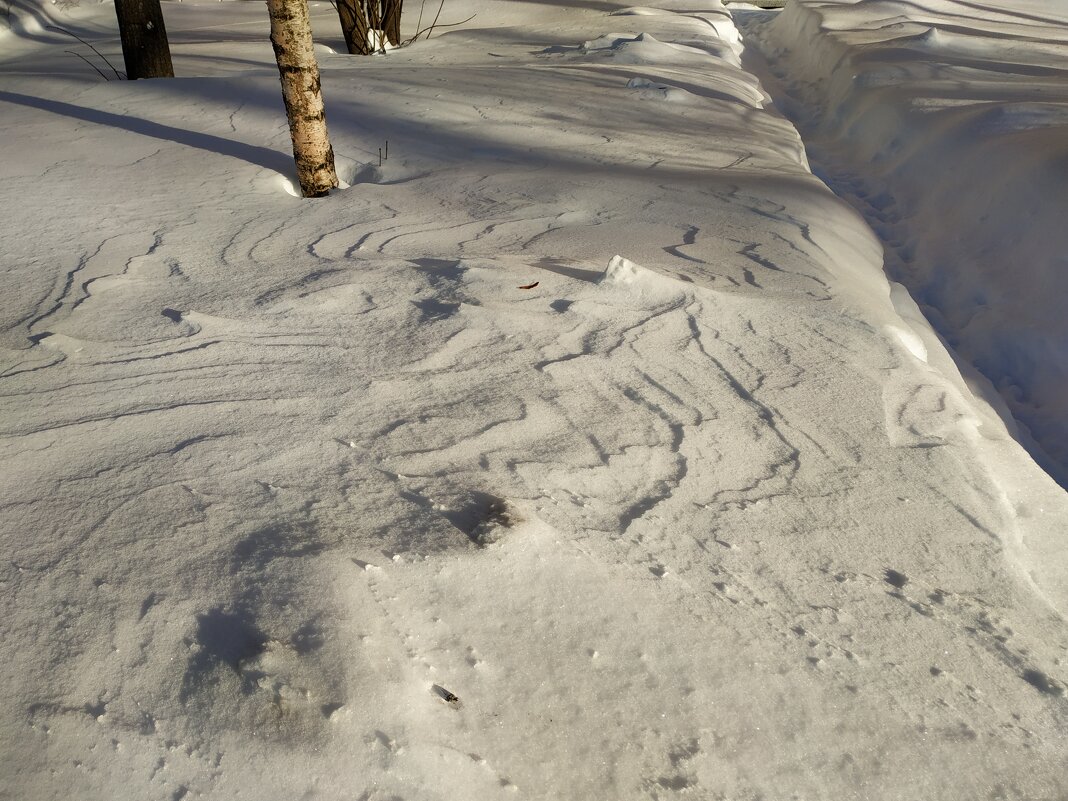 В Москве - снег.  Зима как-никак :-) - Андрей Лукьянов