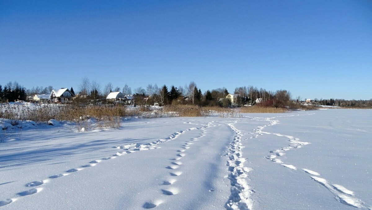 Наследили рыбаки. - Милешкин Владимир Алексеевич 