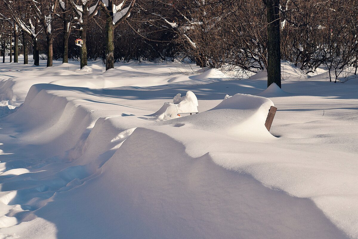 Под белым покрывалом января. - Татьяна Помогалова
