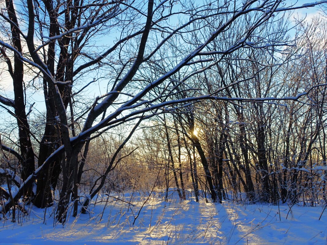 На краю глинтового парка - Aida10 На краю глинтового парка - Aida10