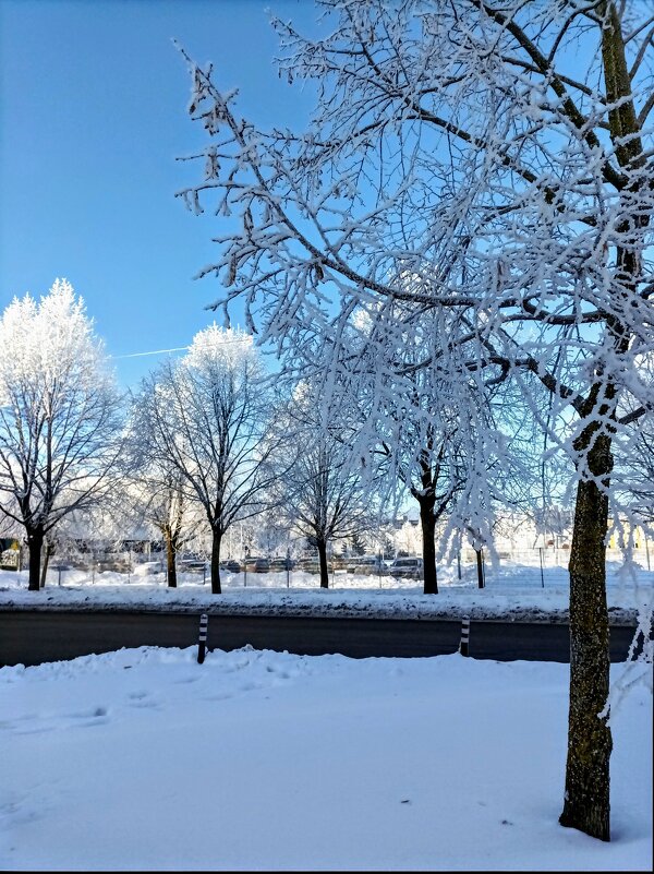 Мороз и солнце - Veera V