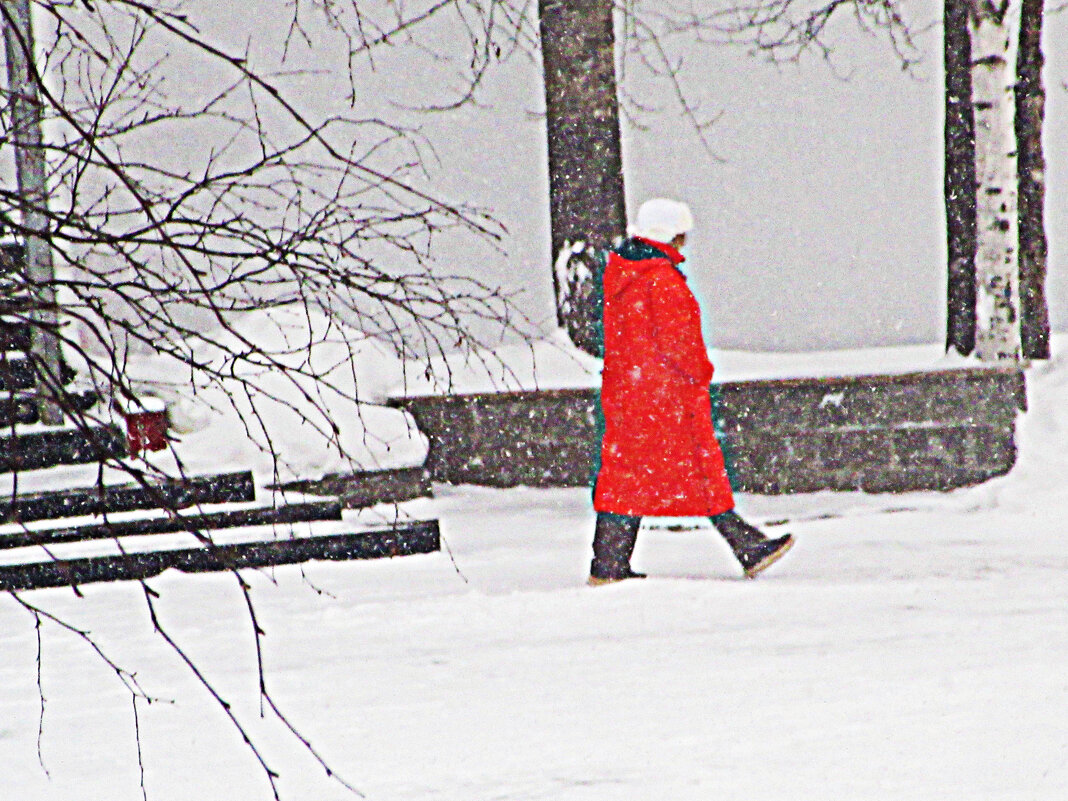 В Год Огненной лошади! - Владимир В Год Огненной лошади! - Владимир