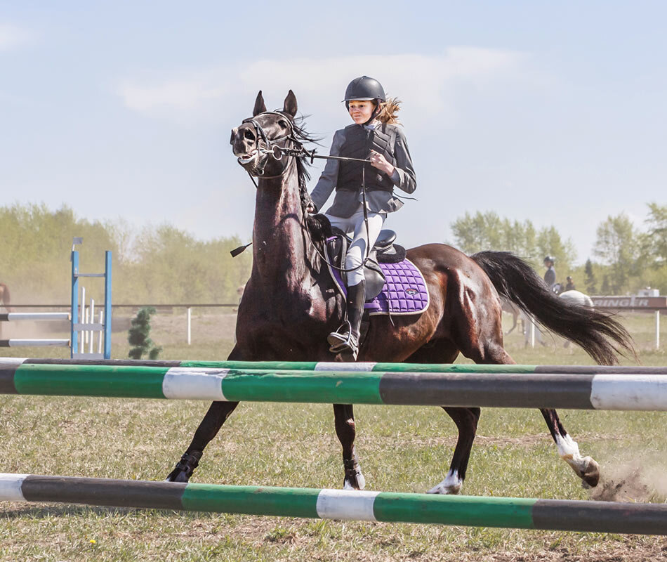 Конкур - SanSan 