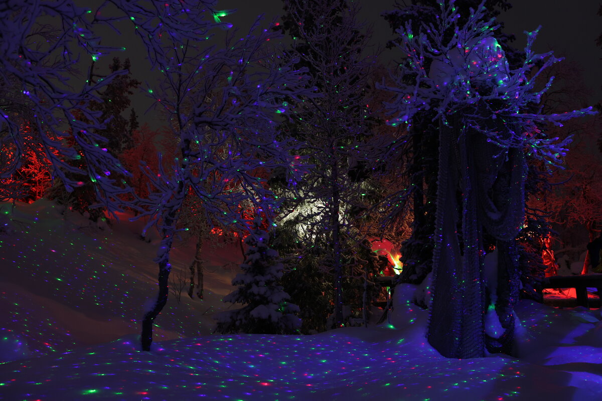 Таинственный лес - Андрей C