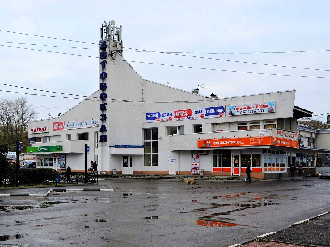 Ростов-на-Дону. Пригородный (старый) автовокзал. - Пётр Чернега