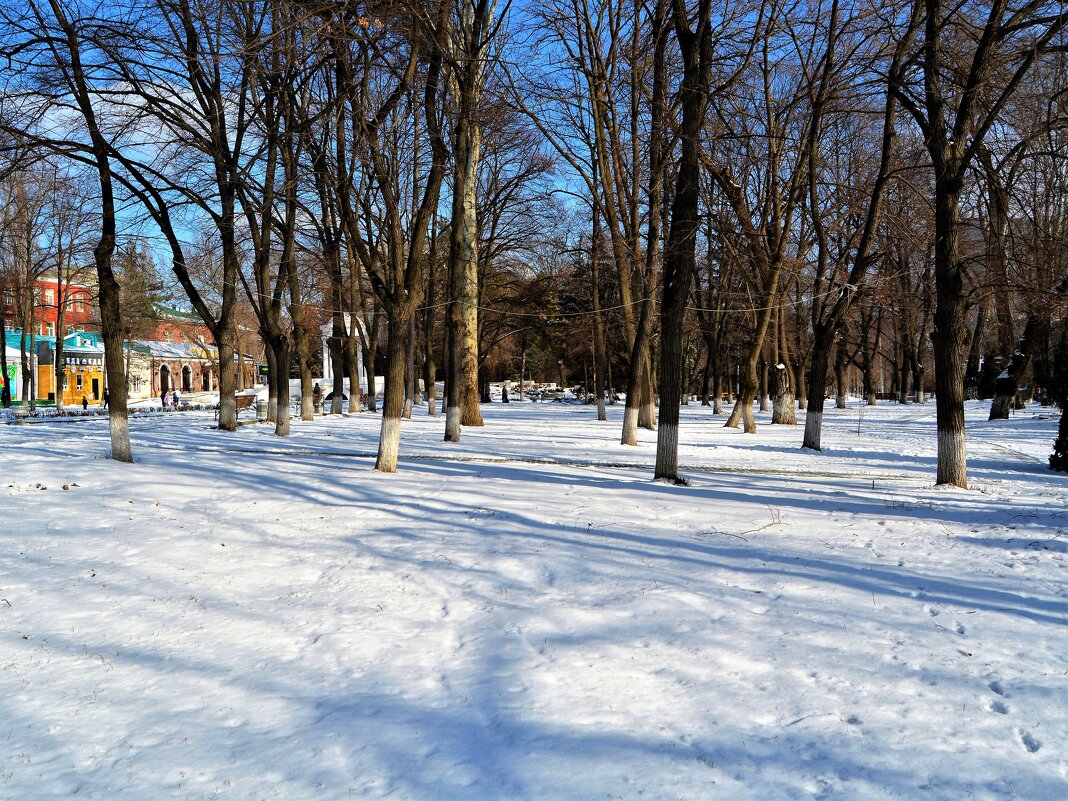 Ростов-на-Дону. Парк им. 1-го Мая зимой. - Пётр Чернега