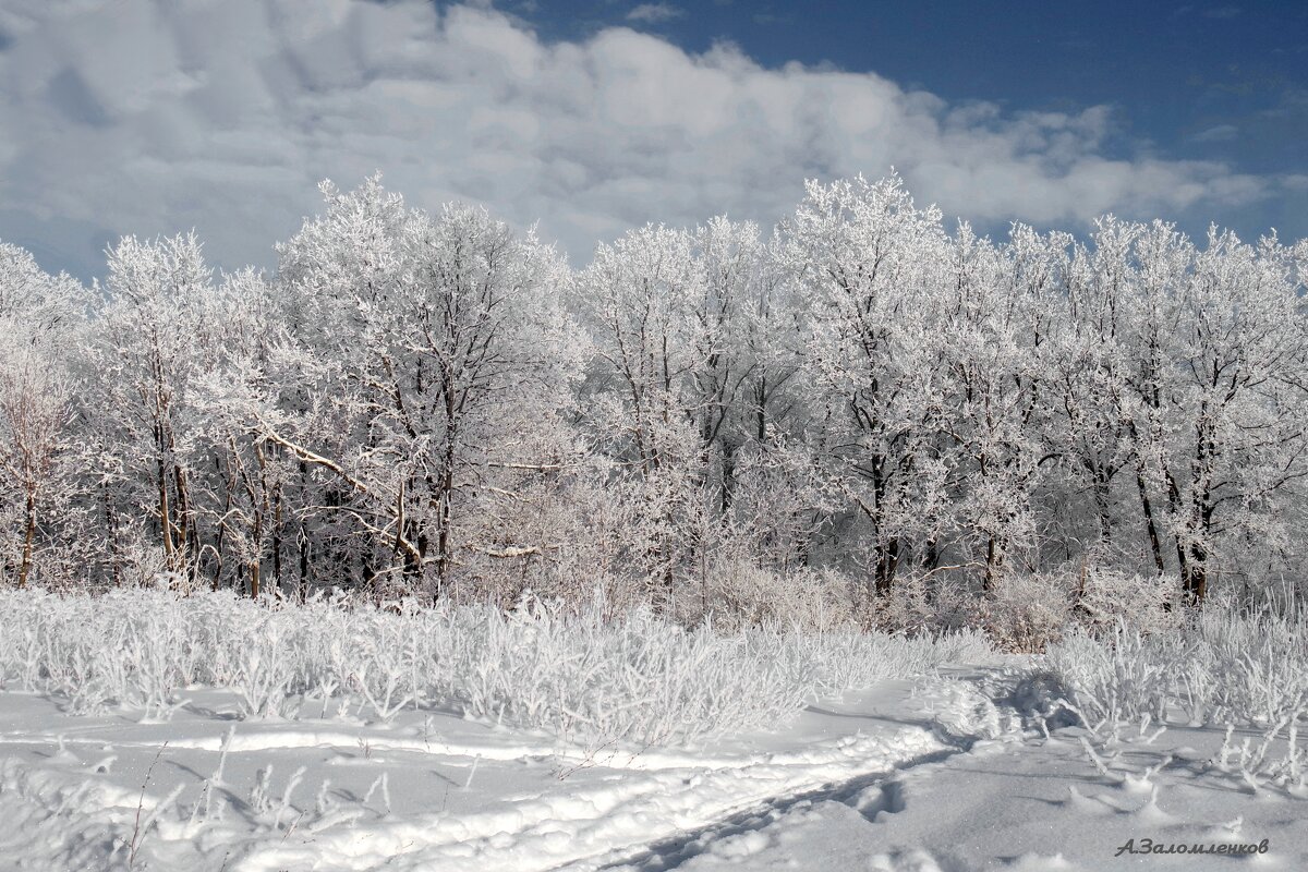 Пейзажи конца января... - Андрей Заломленков