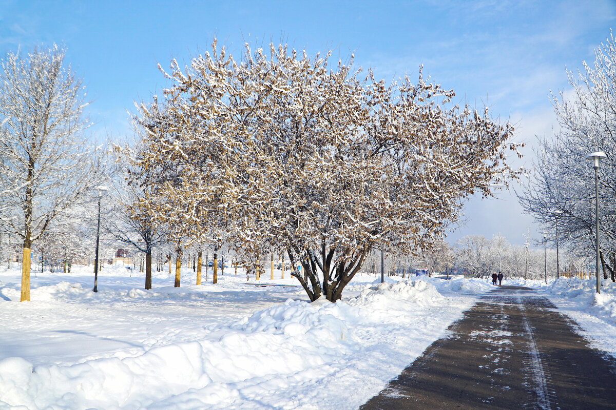 Январская зарисовка - Юрий Шувалов