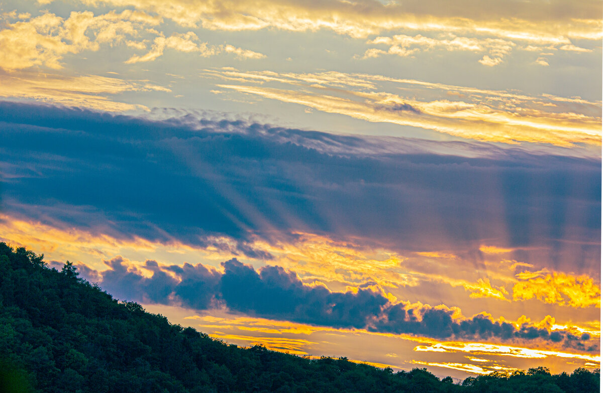 Вечернее небо. - Lucy Schneider 