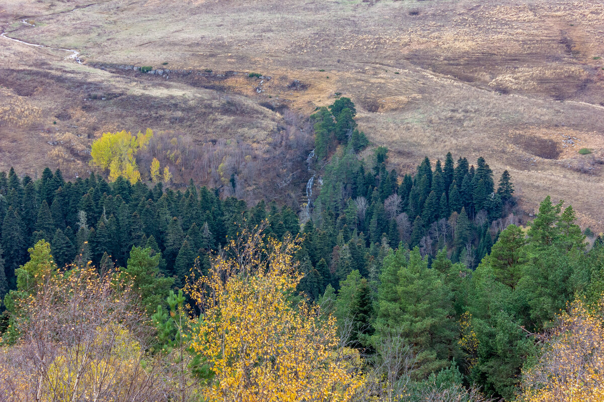 Адыгея.Плато Лаго-Наки. - ирина )))