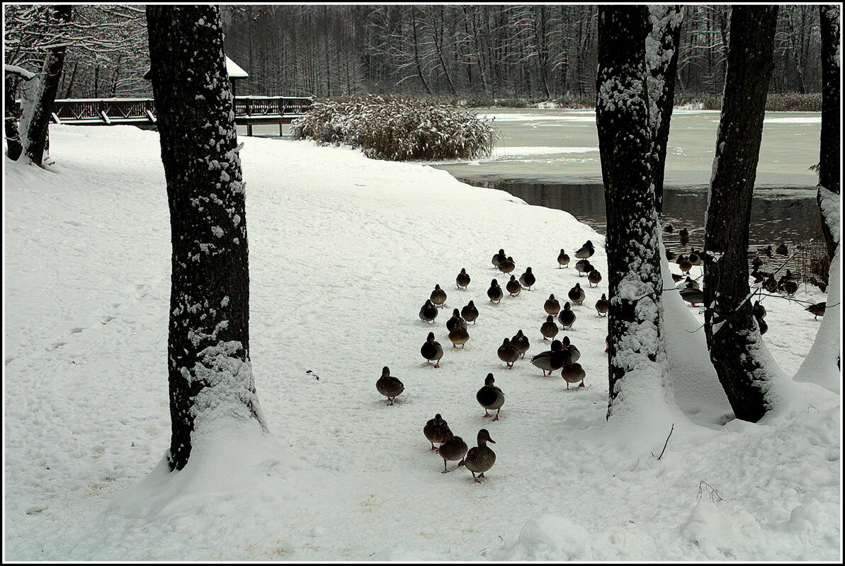 Десант - Aleksandr Gal