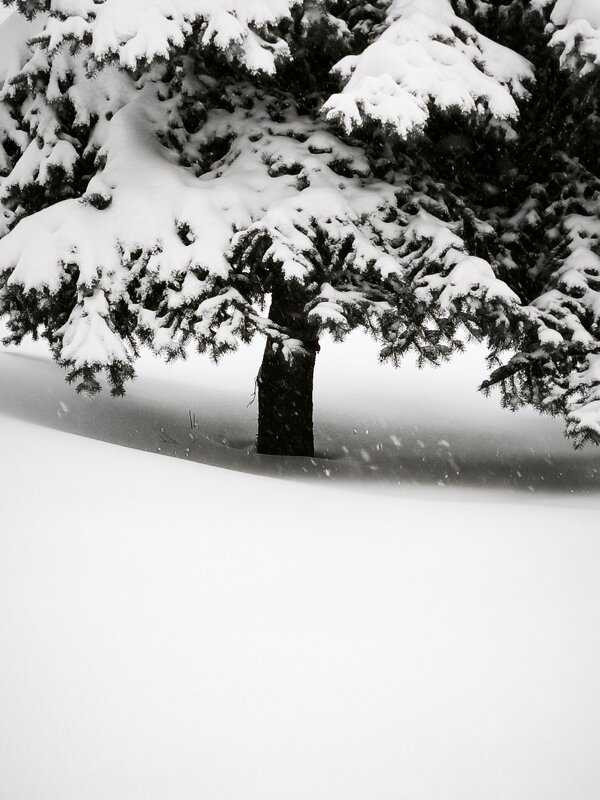 *** - Сергей Полянский