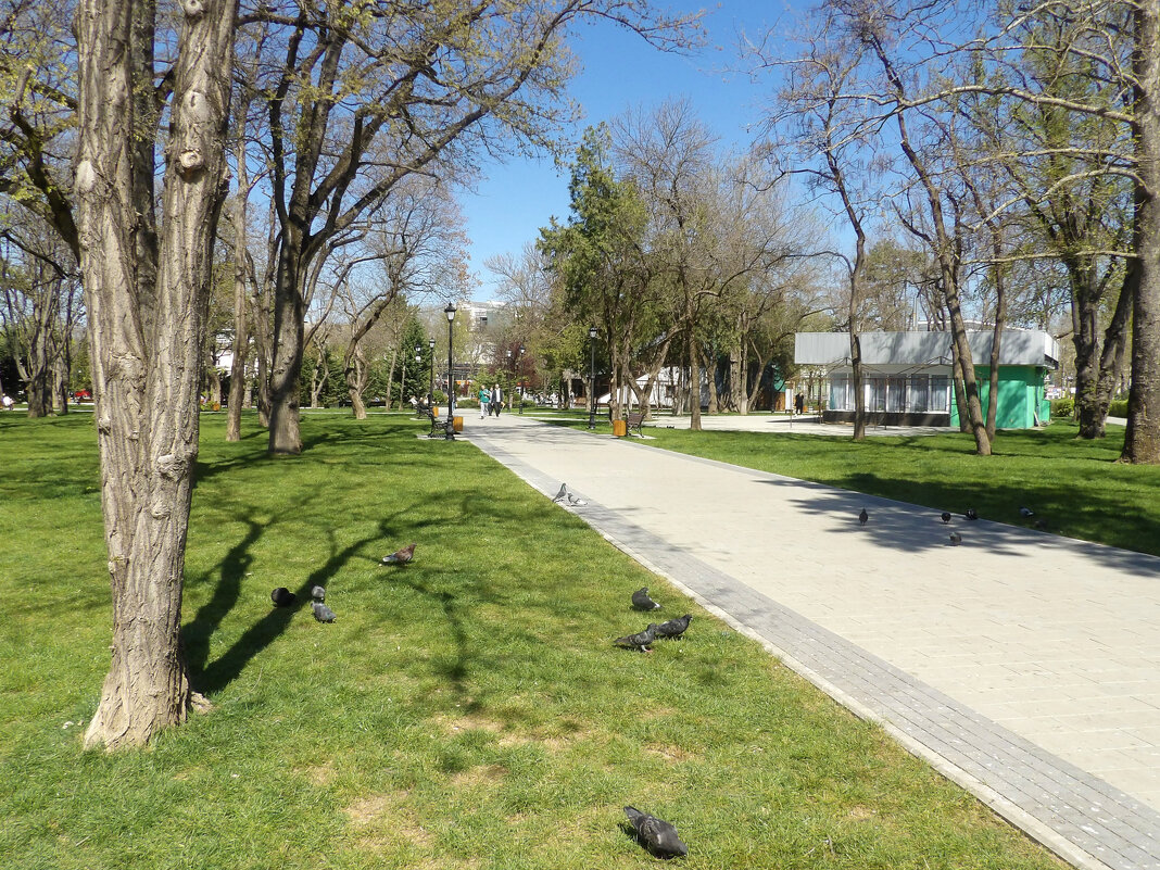 Весенний парк  Тренёва - Валентин Семчишин