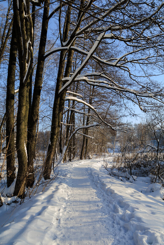 Зимняя дорога - Roman stories - Зимняя дорога - Roman stories -