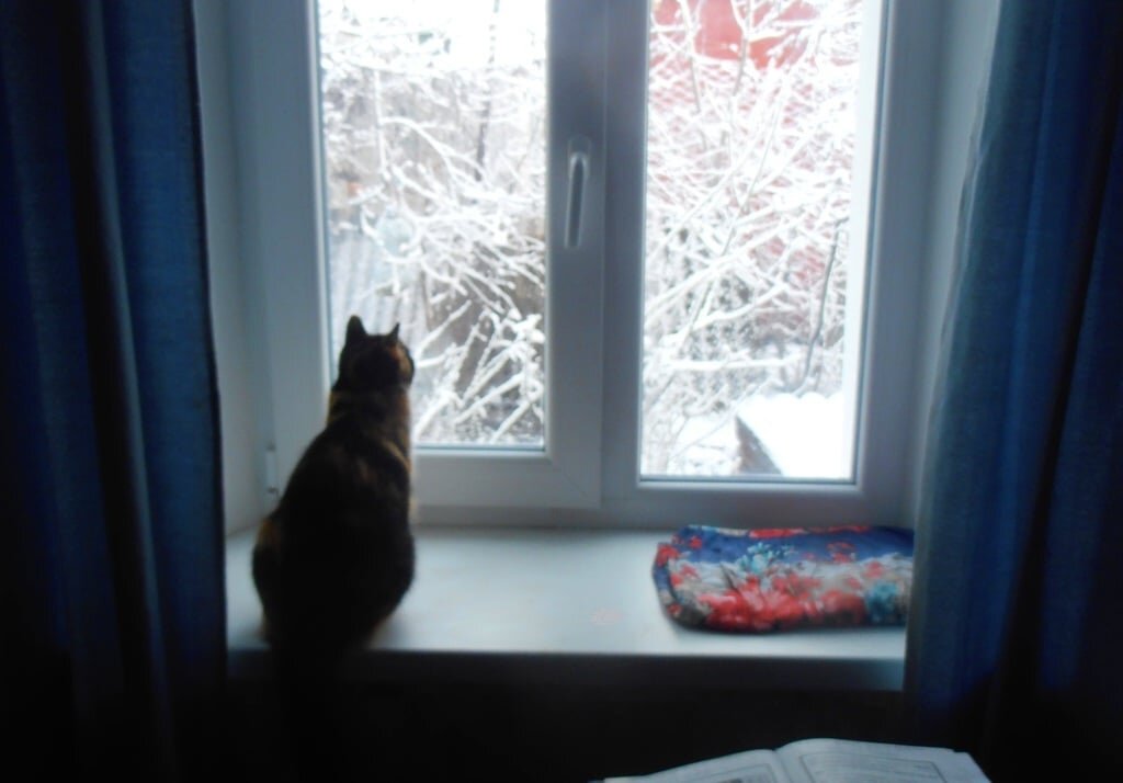 Созерцание - Наталья 