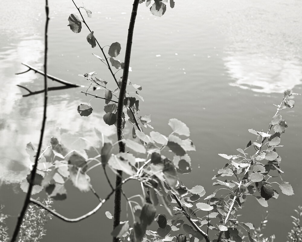 Фотография - Денис Безногов