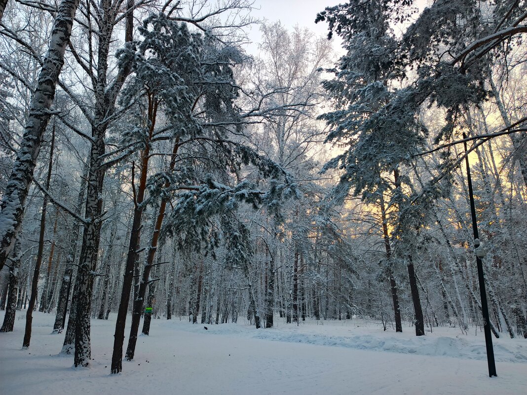 Зимний Красноярск - Василий Зимний Красноярск - Василий