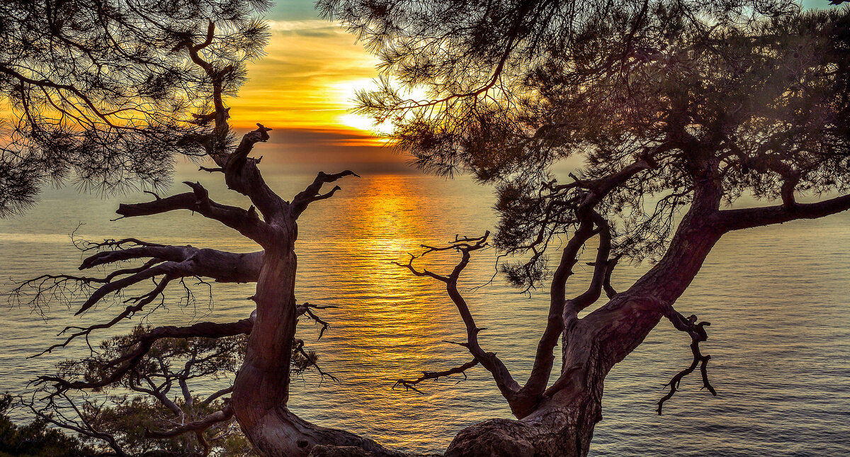 Закат. - Сергей Воротников