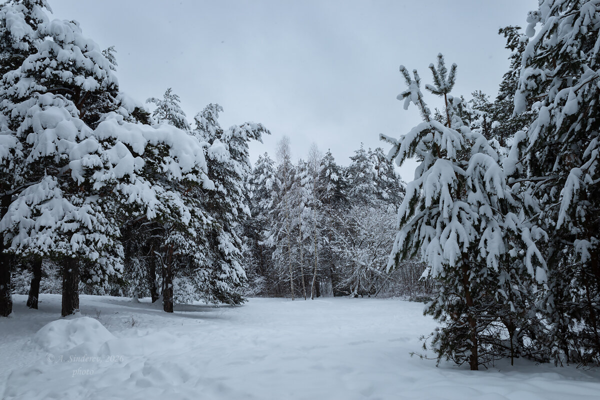 Зима - Александр Синдерёв